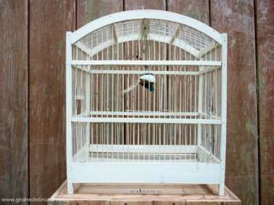 cage ancienne à oiseaux en bois