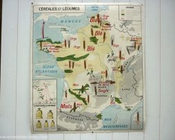 Carte scolaire de 1960 Editions MDI "Céréales et légumes"